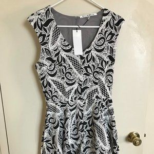 Collective Concepts Dress